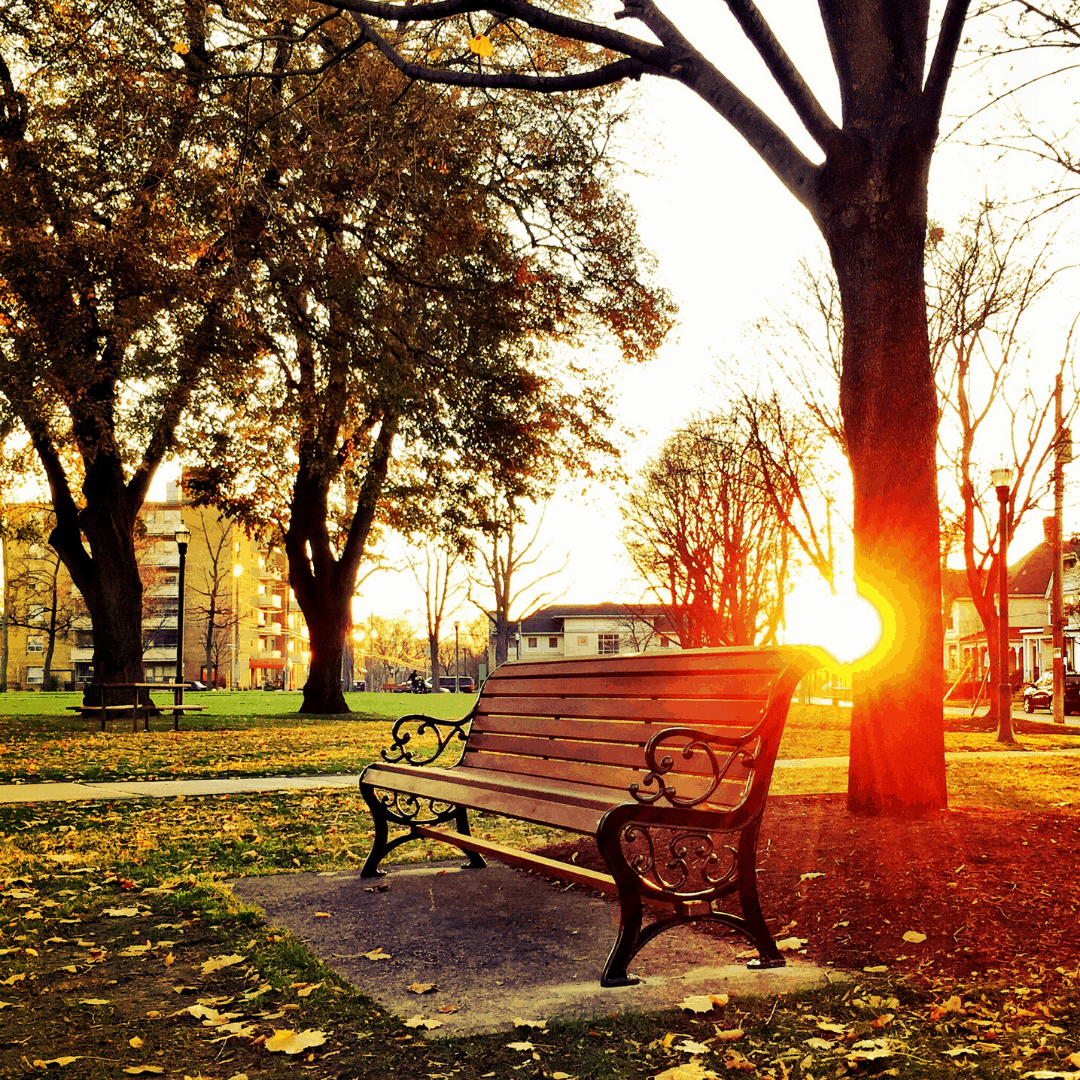 reasons-to-move-to-the-village-of-jackson-wi